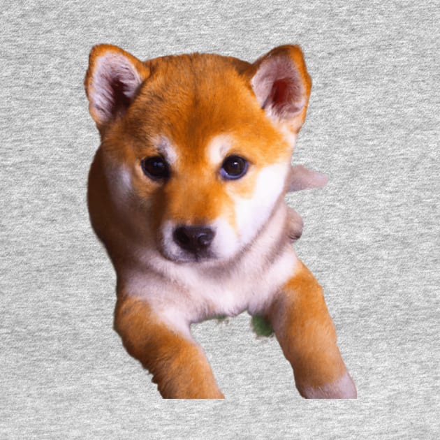 Shiba Inu Love: A Forever Thing by ProTee's